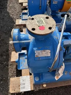 USED GOULDS 3796