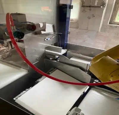 Used 2023 KRAPCO CASEPA 150 Robotic Case Packers CZ | Amaron s.r.o. #1064999