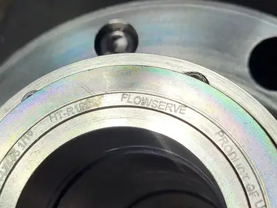 NEW FLOWSERVE B0167345