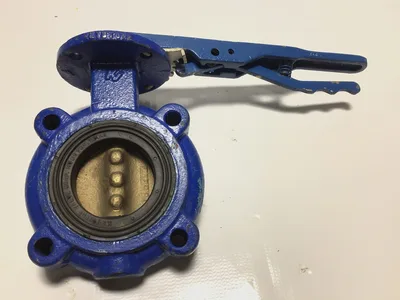 Keystone 2.5″ Valve Iron Lugged Butterfly Valve