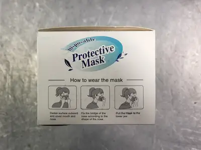Disposable Protective Mask 17.5 x 9.5 cm, Non Medical, (Total 3000 pcs)