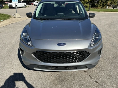 Used 2022 FORD ESCAPE Utility Vehicles Michigan US | Miedema Asset Management Group #1732726