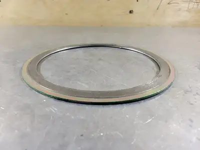 8" 150 CG Gasket