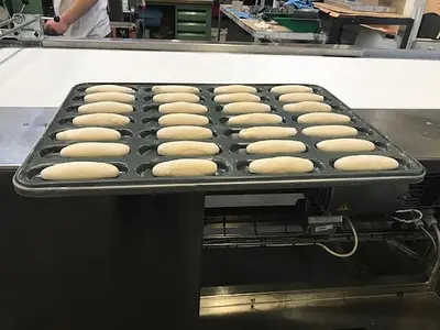 2007 KOENIG I Rex Line Roll Line w/ Proofer, Stamper, Moulder, Seeder and Panner | Harvest Equipment and Fabrication Inc (8)