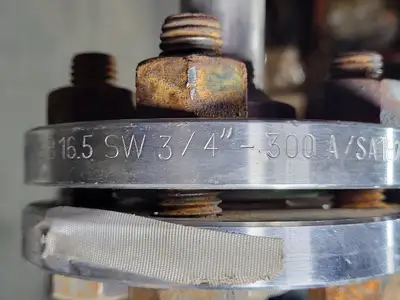 Used 2020 GOULDS PUMPS 3700 Parts (Hydraulics and Pneumatics) British Columbia CA | Lenmark #1440652