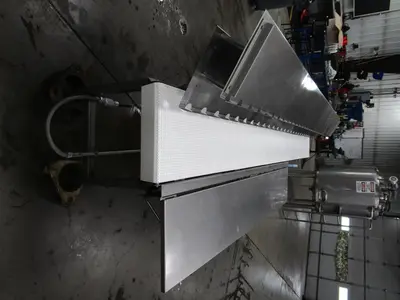 CPI SS Packoff Conveyor