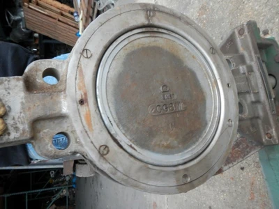 Fisher 10" 150 Class, 316 Stainless Gate Valve