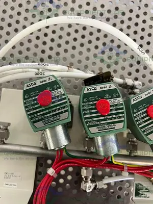 USED LOT OF 4 - ASCO RED-HAT 8262G80 SOLENOID VALVE 1/4"