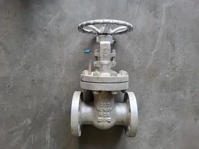 3" Class 300 Gate Valve