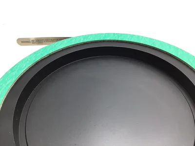 BS&B Graphite Rupture Disk 2″ Flange Rating ANSI 150 Burst Pressure 47.75 PSIG
