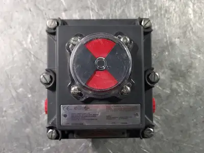 NEW TOPWORX DXP-M21GNEB