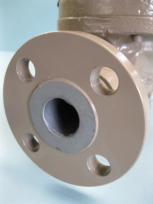 NEW Cashco D16-5XX7-4SX55161E