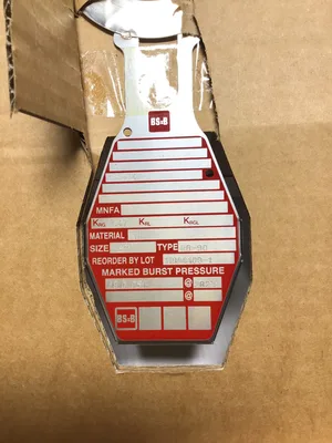BS & B Safety Systems RB-90 1.5″ Rupture Disk 11080109-1