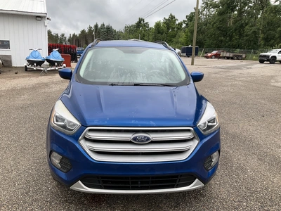 Used 2019 FORD ESCAPE SUVs Michigan US | Miedema Asset Management Group #1411161