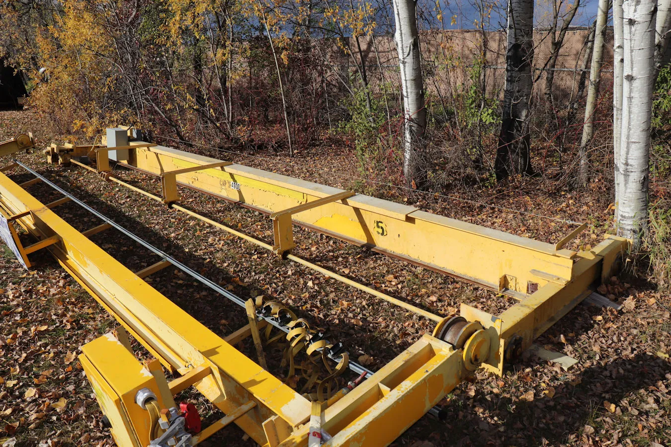 Orley Meyer 30' x 3 Ton Bridge Crane