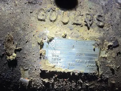 USED GOULDS 3196