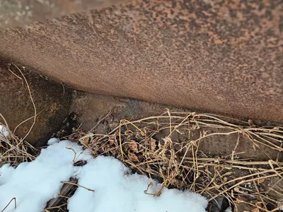 VARIETY BUCKETS Buckets | Iron Listing (11)