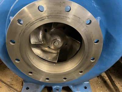 USED Goulds 3175