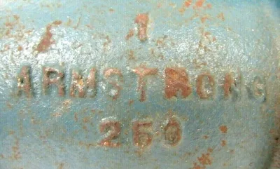 NEW ARMSTRONG 250 Y-STRAINER 1"