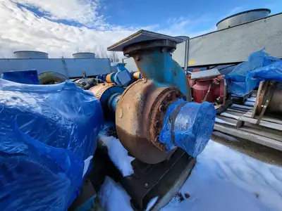 USED GOULDS 3196