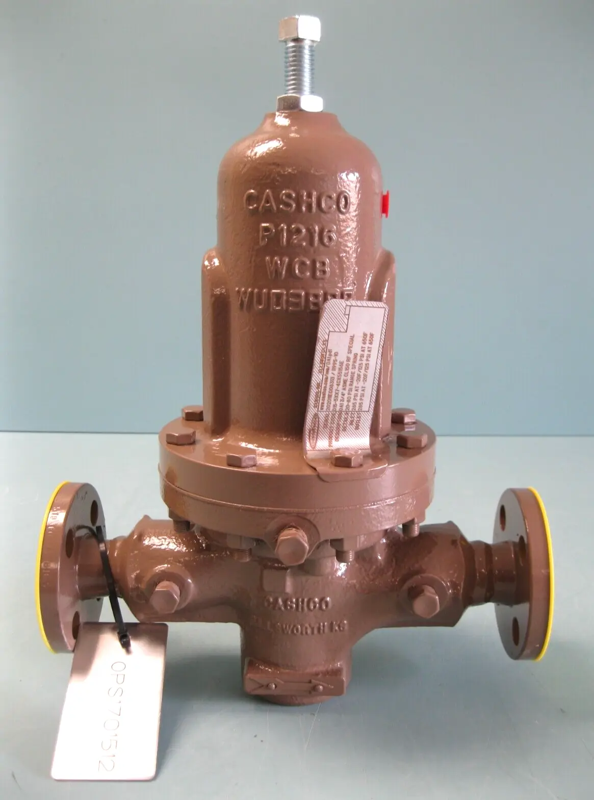 NEW Cashco D15-5XX7-4CX55156E