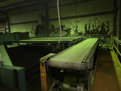 Newman Belt Conveyor 30" x 20' Long
