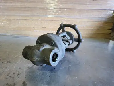 1/2" Class 800 Gate Valve B16.34