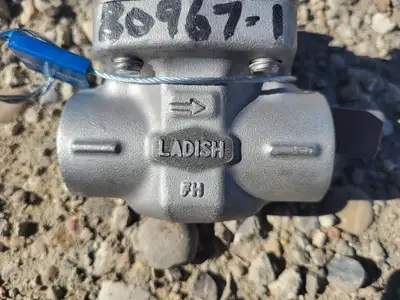NEW LADISH 5850