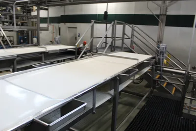 Belt Sorting Conveyor 1