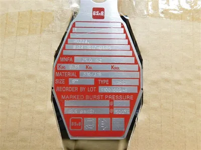 BS&B Safety Systems 6" 11001608-1 Rupture Disc 19.5 PSIG @ 500°F 90374 New