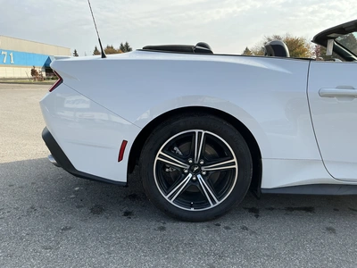 Used 2024 FORD MUSTANG Cars Michigan US | Miedema Asset Management Group #1579884