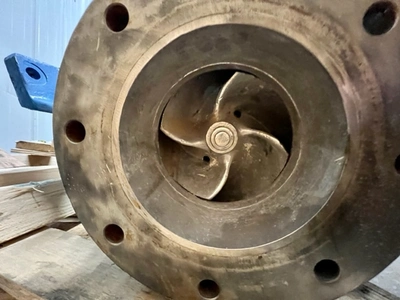 USED Goulds 3175