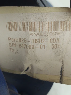 NEW Magnetrol B25-1B10-COA