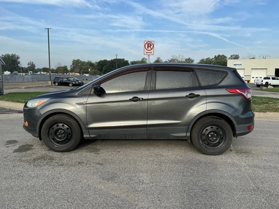 Used 2016 FORD ESCAPE SUVs Michigan US | Miedema Asset Management Group #1406841