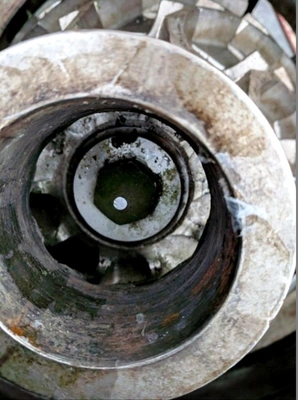 Heinkel GTL 3 directed flow screening centrifuge, SS.