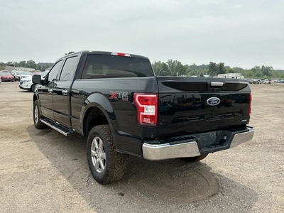 Used 2019 FORD F150 Pickup Trucks Michigan US | Miedema Asset Management Group #1316080
