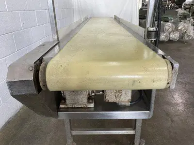 11.5' Flat Belt Conveyor