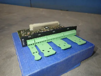 Module - Dio11b