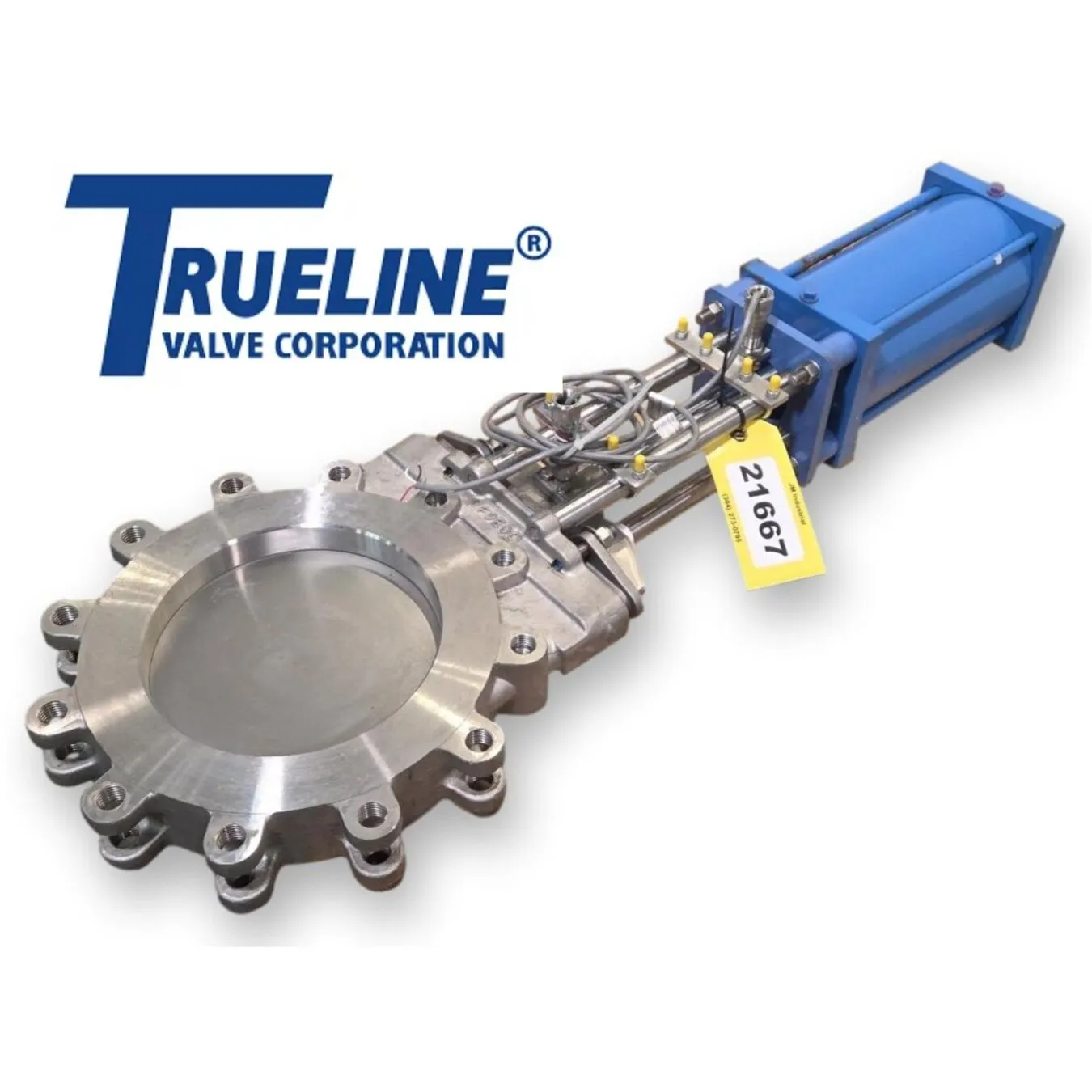 Unused 10" Trueline Stainless Steel Knife Gate Valve F8112