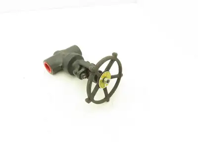 R-P&C FWB80-D Globe Valve Forged Steel 1" NPT Rising Stem