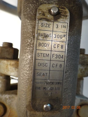 Takawasima 3", Class 300, CF8, Gate Valve