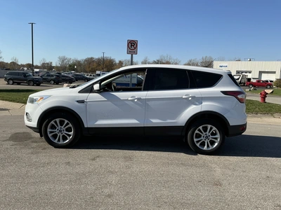 Used 2017 FORD ESCAPE Utility Vehicles Michigan US | Miedema Asset Management Group #1732721
