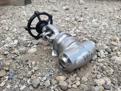 1" Class 800 Globe Valve API 602