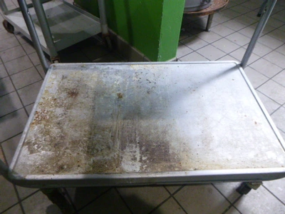 2 Shelf Stainless Utility Cart