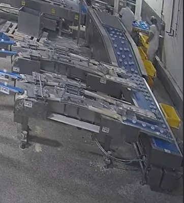Used UNKNOWN _UNKNOWN_ Production Lines California US | BakeryEquipment.com #1554201