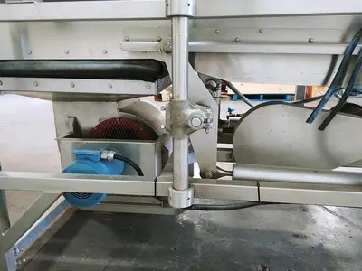 AAM Berry Blower Cleaner
