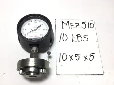 AMETEK U.S. Pressure Gauge Assembly 0–60 PSI Liquid Filled Diaphragm Seal