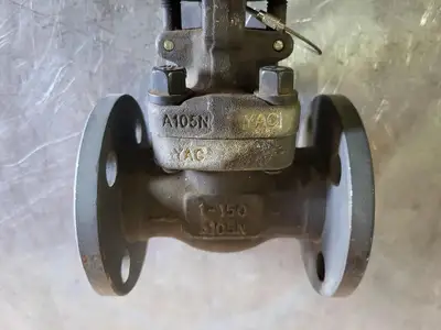 1" Class 150 Globe Valve (Standard)