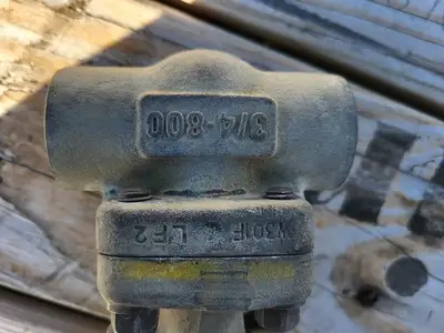 2019 3/4" Class 800 Gate Valve