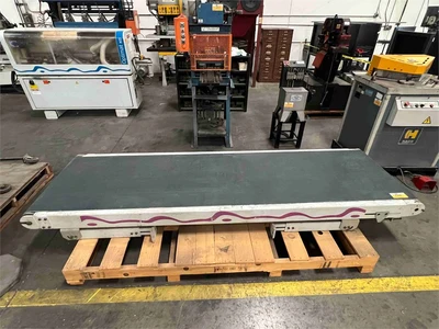 Used HOMAG _UNKNOWN_ Belt Conveyors California US | MachineryMax #1402994